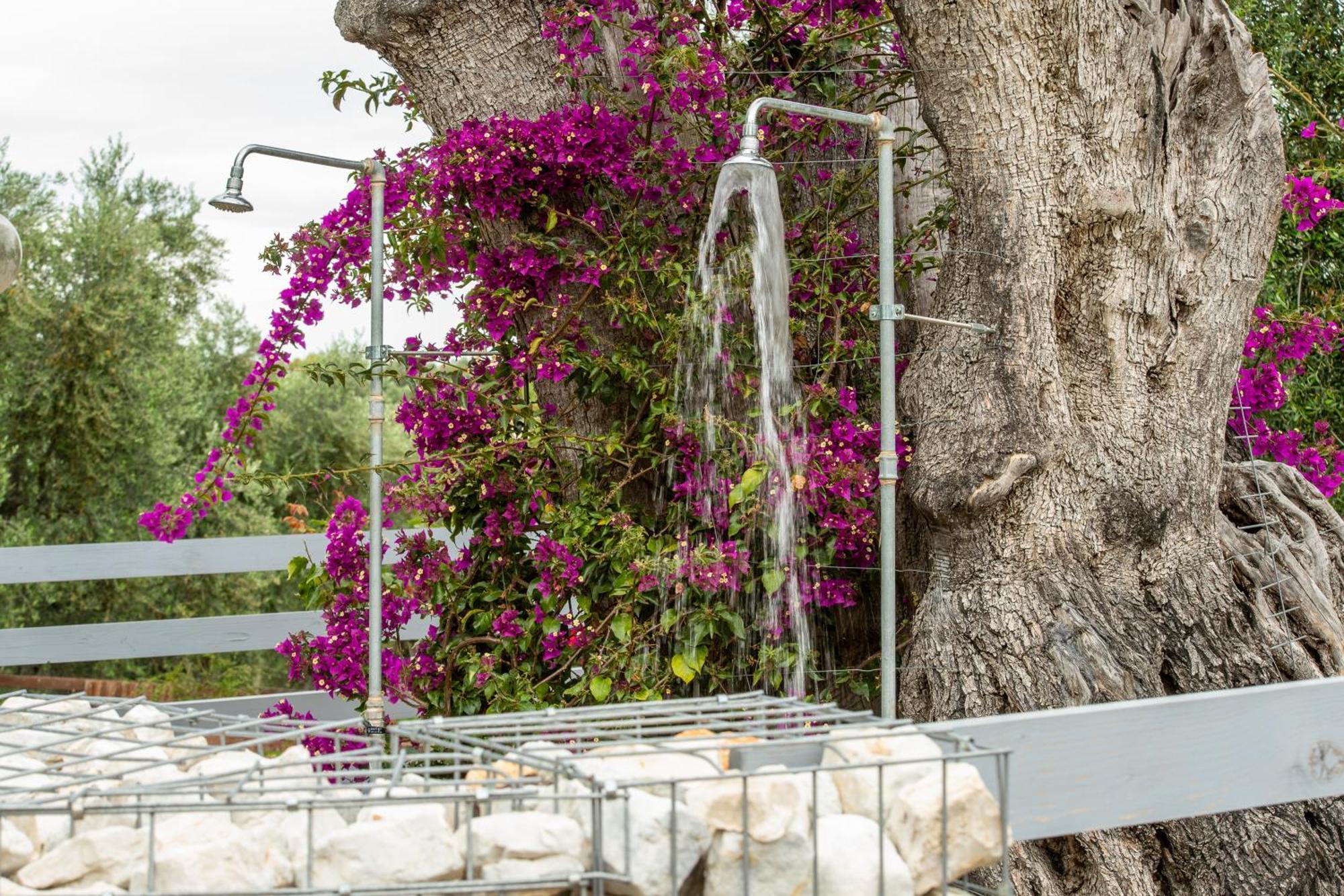 Agriturismo Passione Natura ヴィエステ エクステリア 写真