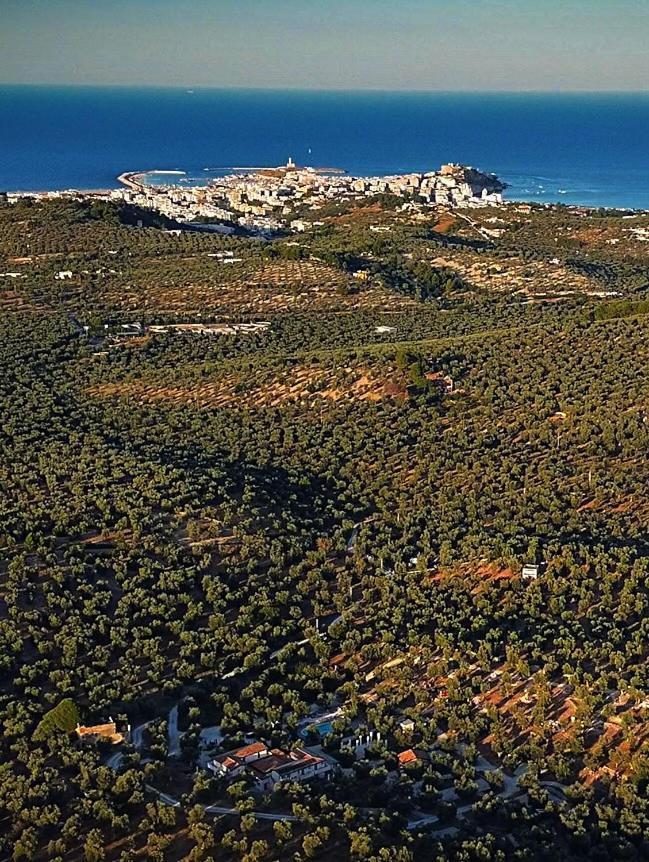 Agriturismo Passione Natura ヴィエステ エクステリア 写真